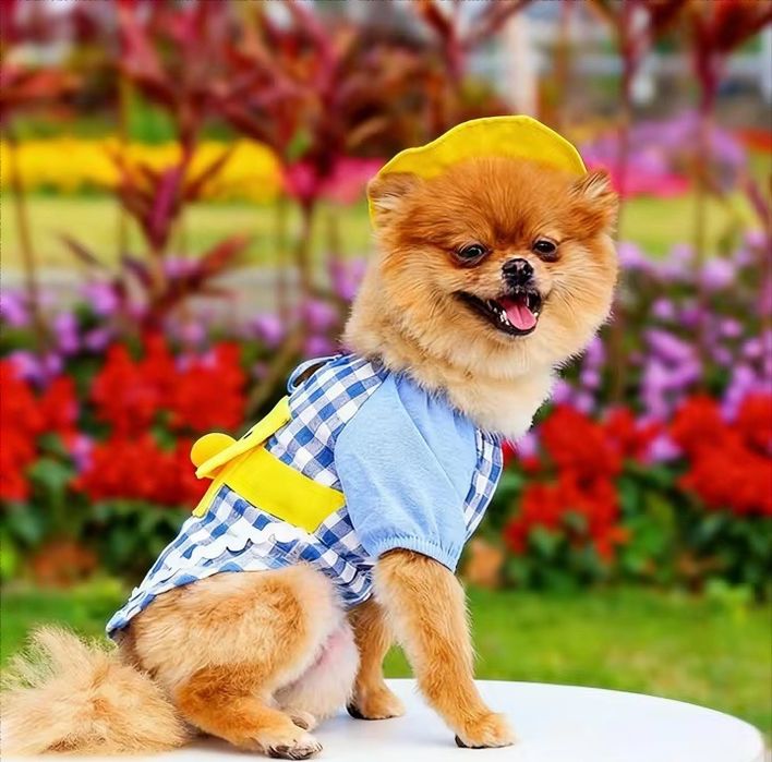 Костюм (рубашка) для собаки