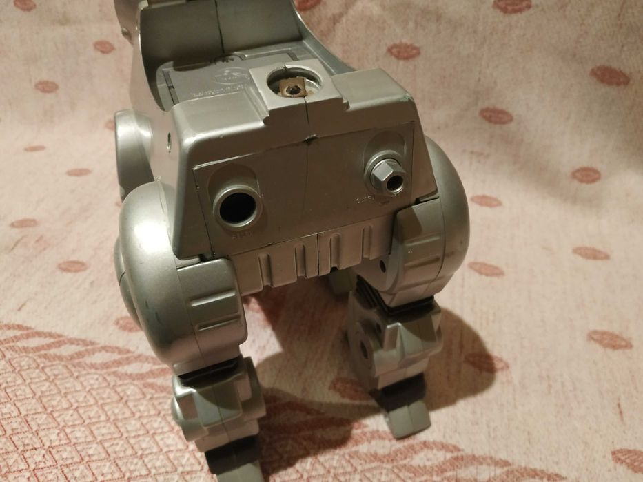 Pies Robot dla dziecka