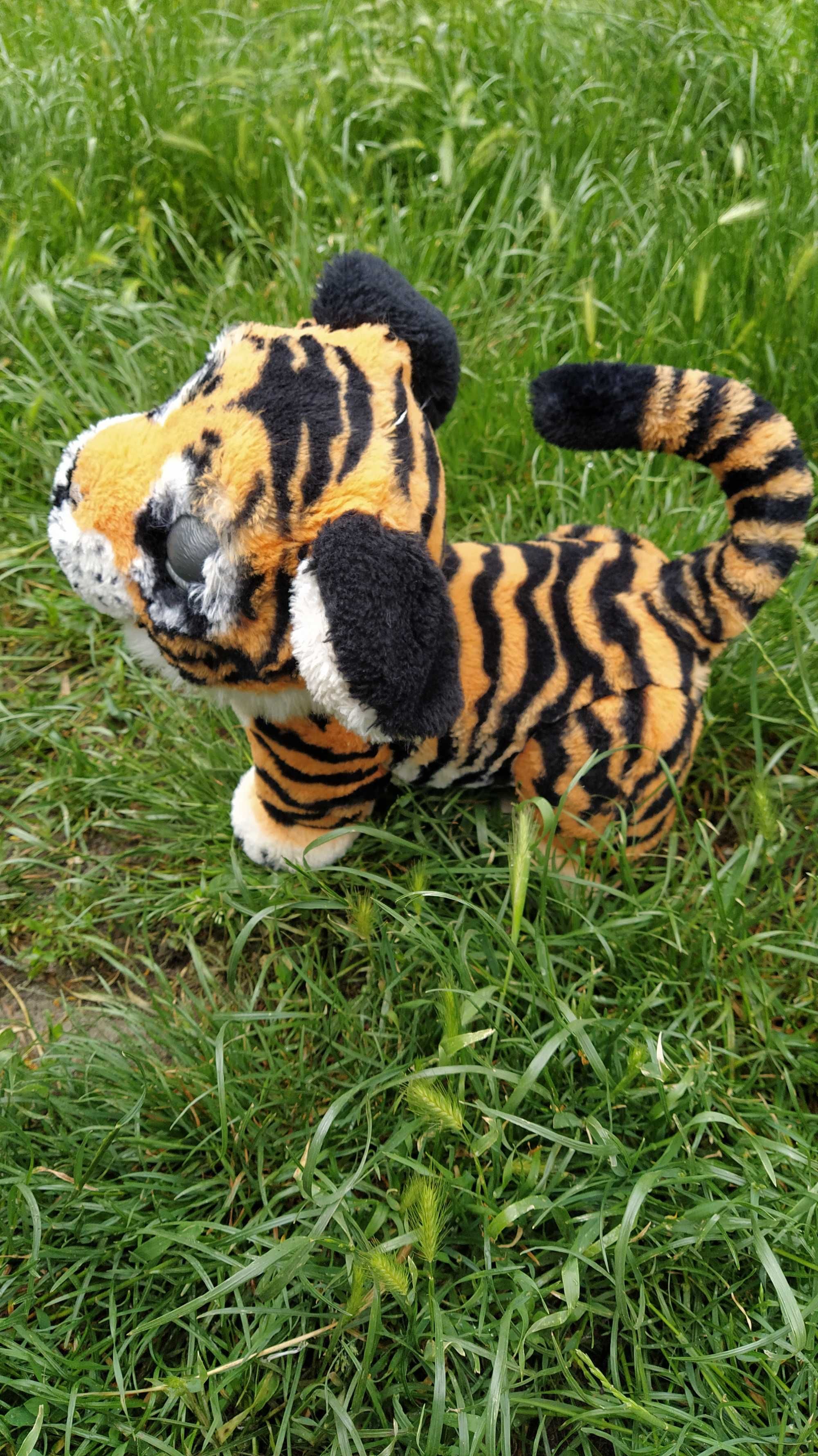 Roarin hotsell tiger tyler