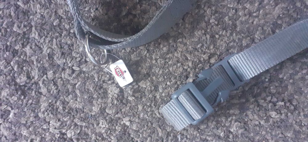 Szelki z obrożą dla psa