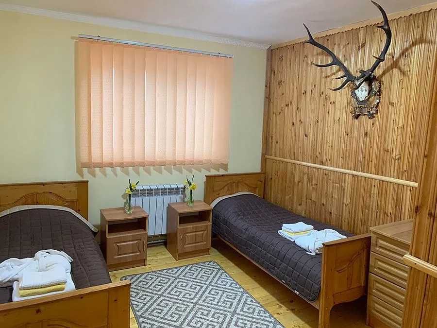 Котедж на 8 осіб з басейном. Сколе