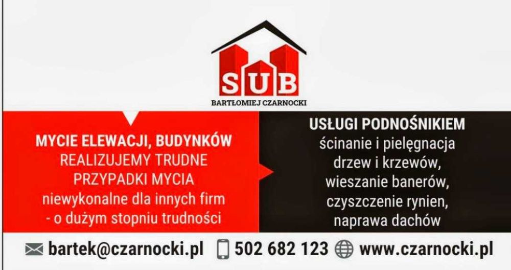 Mycie i malowanie elewacji i dachów