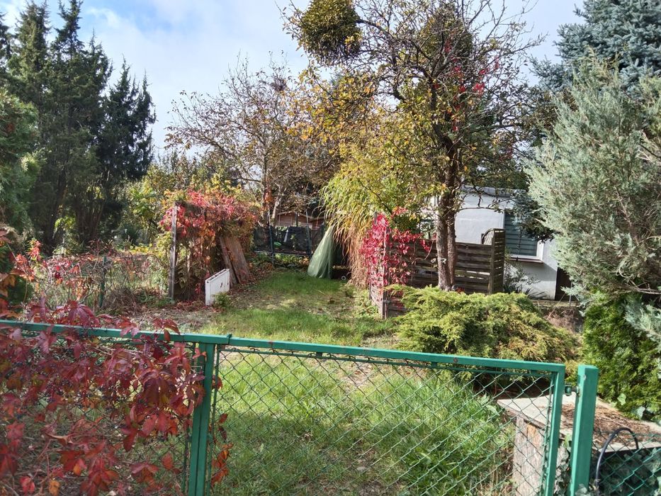 ROD Poznań/dom całoroczny 35m2 z tarasem + GRATIS  basen