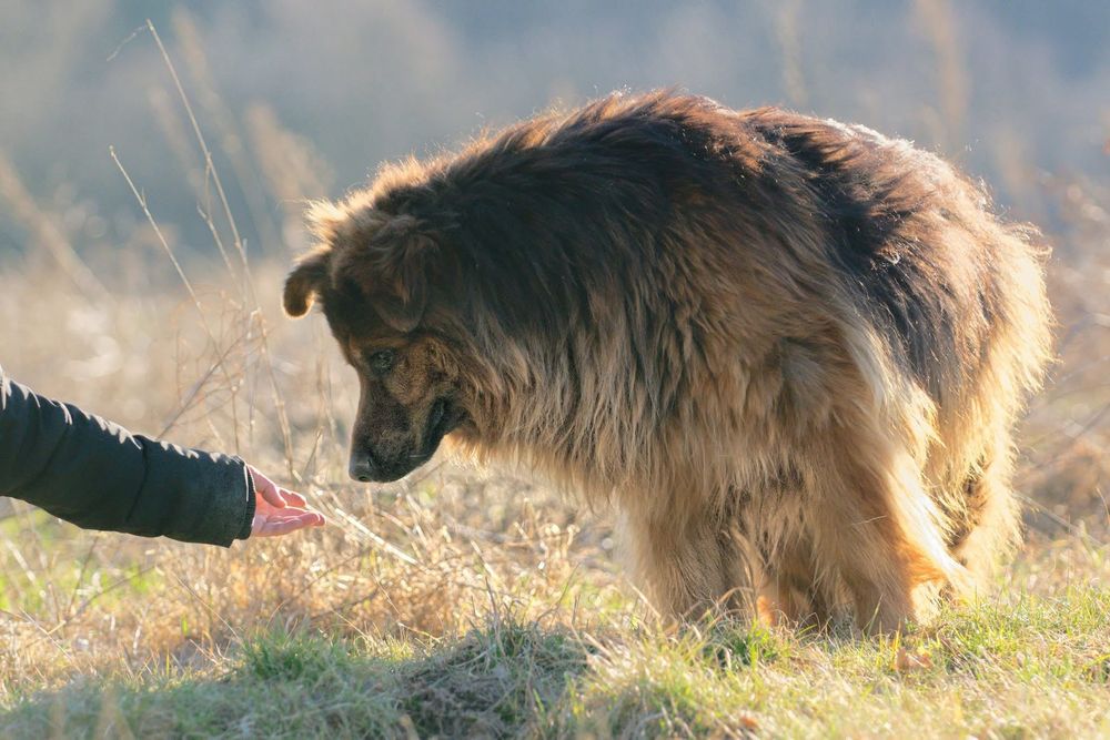 Pilne  Baca  pomóż mu zaufać