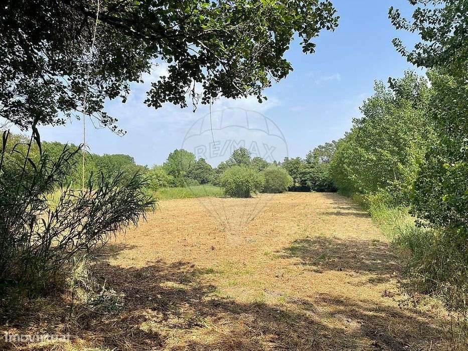 Terreno  para venda