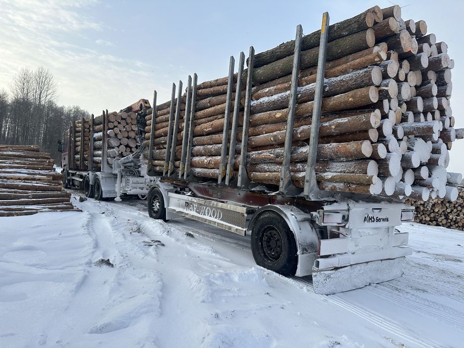 Drewno opałowe Olcha Brzoza