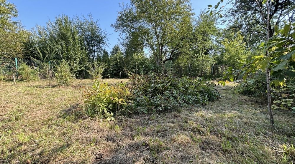 Działka ROD Warszawa - Widok 3