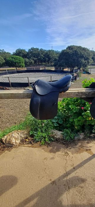 Selas inglesas e de pónei usadas