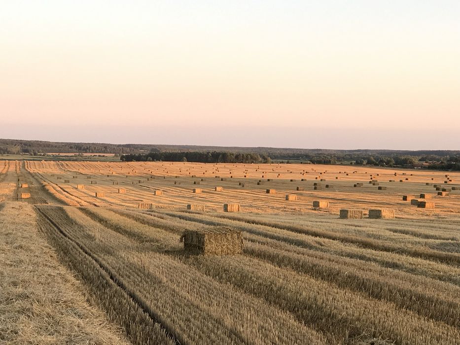 Słoma duża kostka i kulka bela