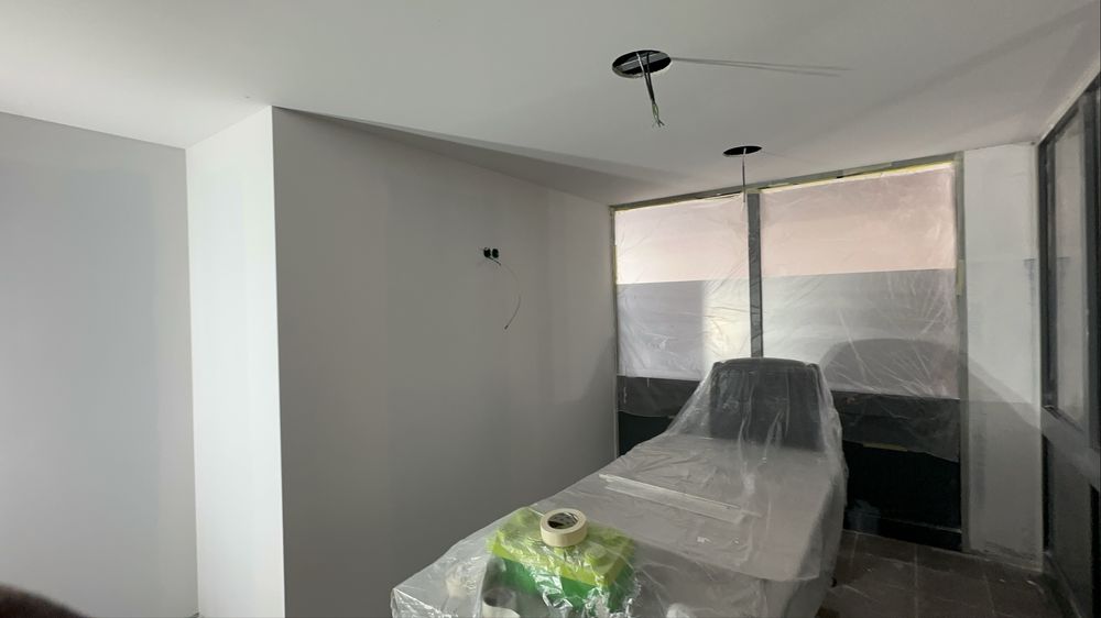 Profissional de Pinturas