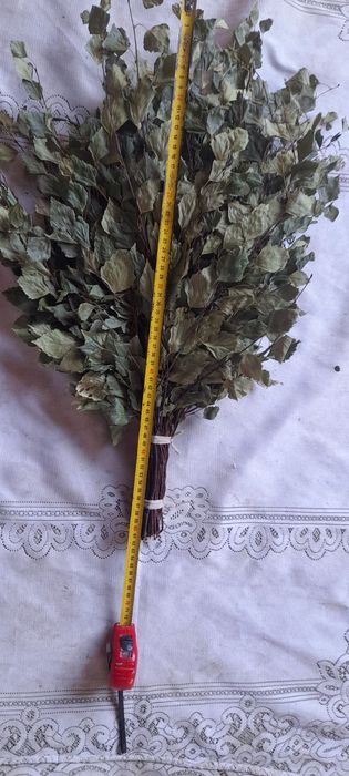 Банні віники дуб береза евкаліпт травяні віники бамбук якинка запарник