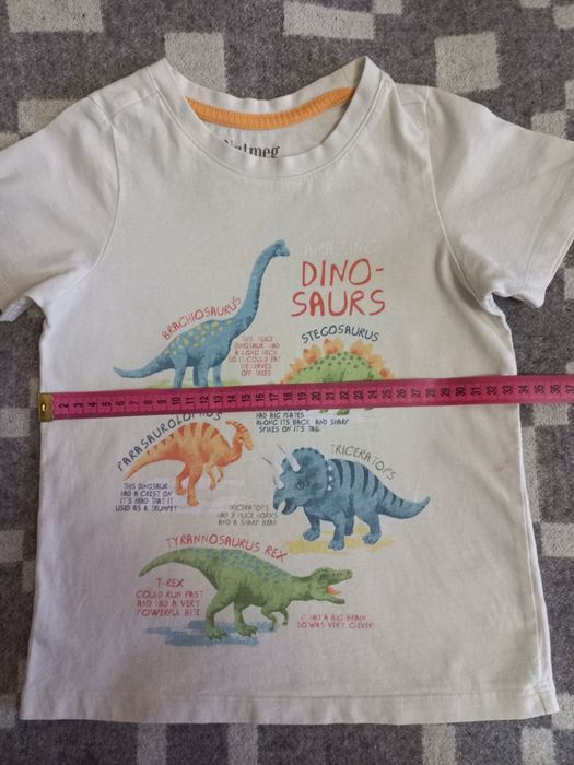 Літній комплект Динозаврики, 4-5 рочків