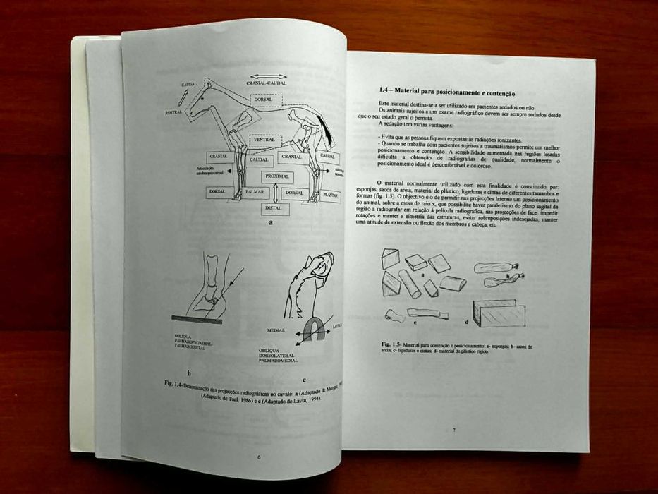 Guia Prático de Radiologia