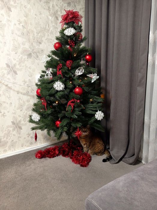 Лита ялинка з шишками