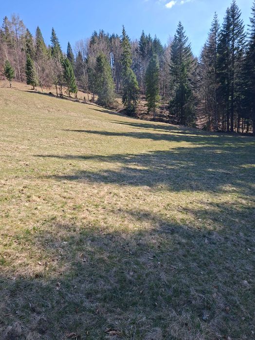 działka rolnicza 1,20ha