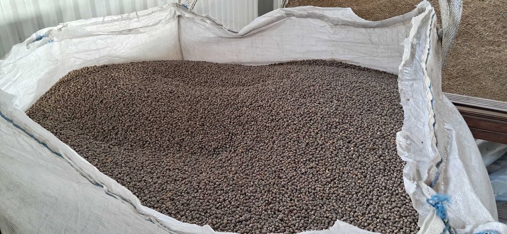 Sprzedam łubin gorzki