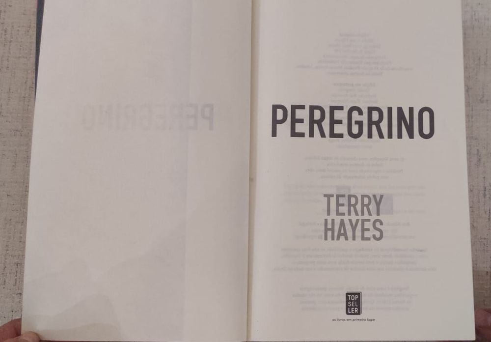 Peregrino livro de Terry Hayes