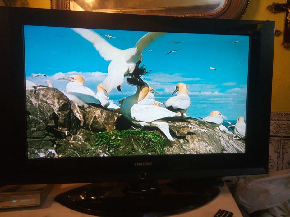 Tv samsung 37 polegadas