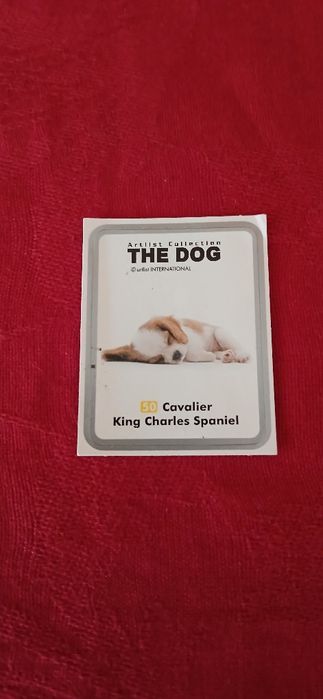 Autocolante The Dog, n° 50