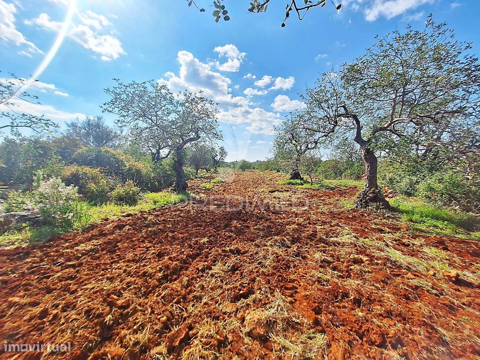 Terreno Rustico em Loulé próximo da Fábrica da Cimpor — Quarteira, Faro