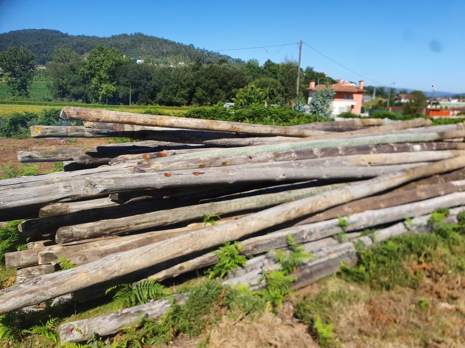 Postes de madeira tratados do telefone
