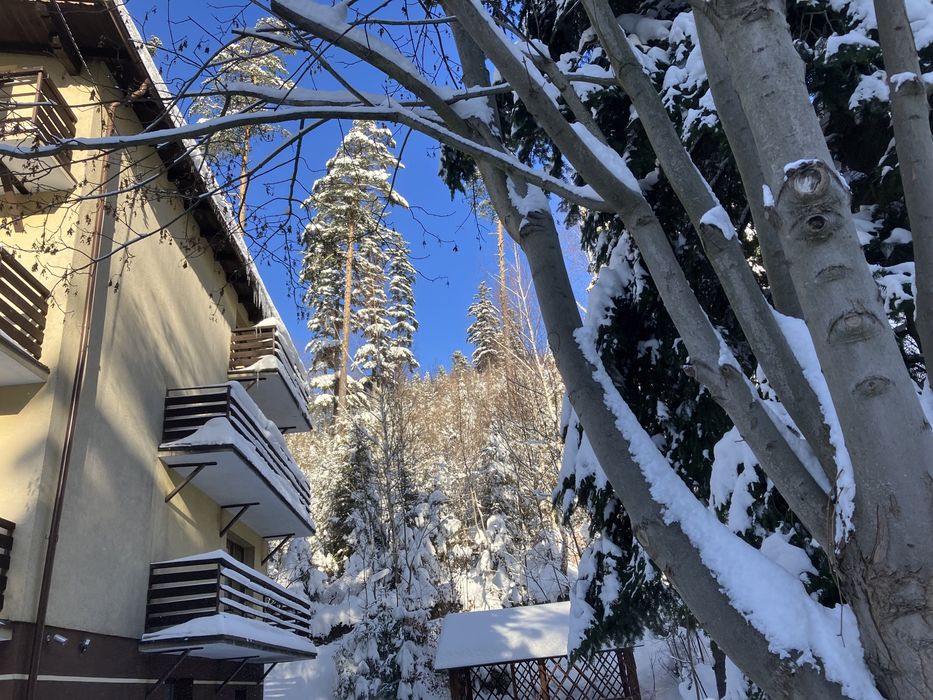 Niezapominajka noclegi