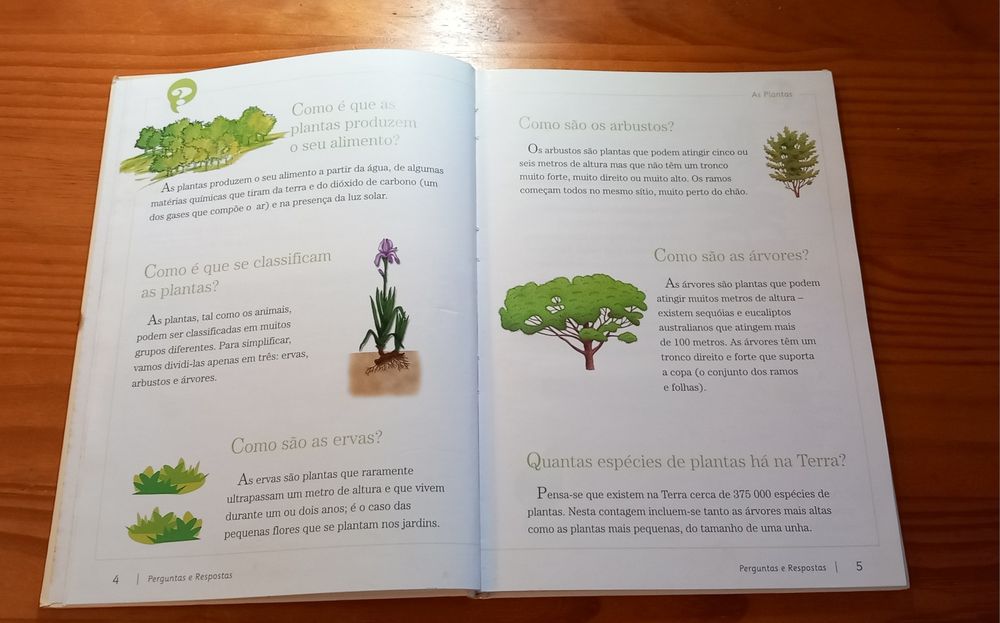 Livro Perguntas e Repostas I 7€