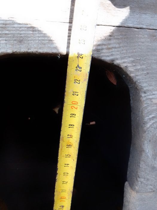 Собача буда покрита бляхою