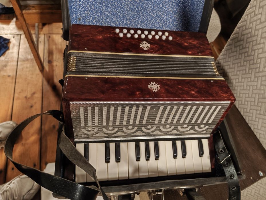 Akordeon dla dzieci z futerałem
Stan: używany
Kondycja: idealna

Wymia