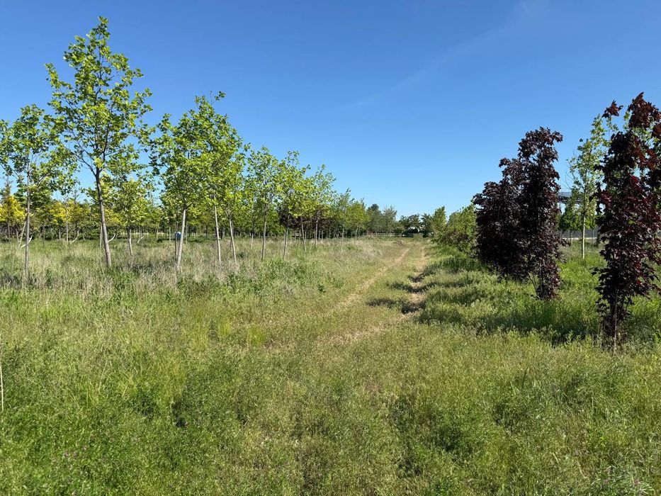 Продам Участок Земля 8.55ГА Красная Линия под ЗАСТРОЙКУ Донецкое Шоссе