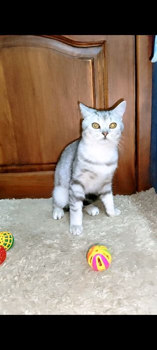 Підрощений хлопчик з мармуровим забарвленням