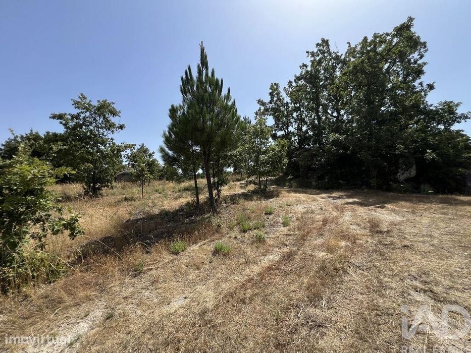 Terreno em Sernancelhe e Sarzeda de 44527,00 m2