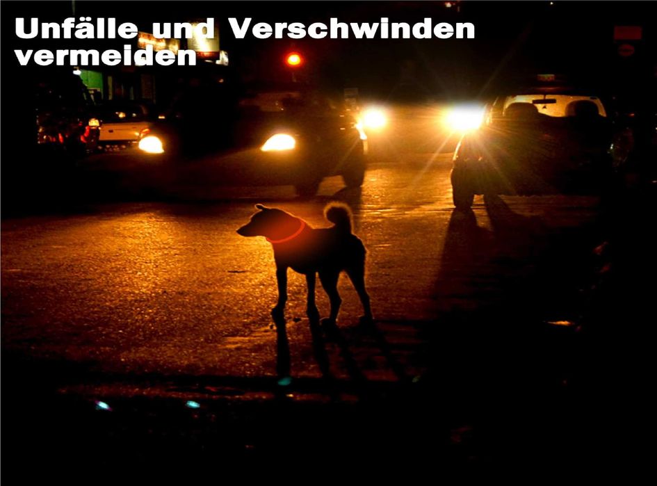 Nowa obroża dla psa/lekka/świecąca/obroża LED/z kablem USB//!4346-CZ!