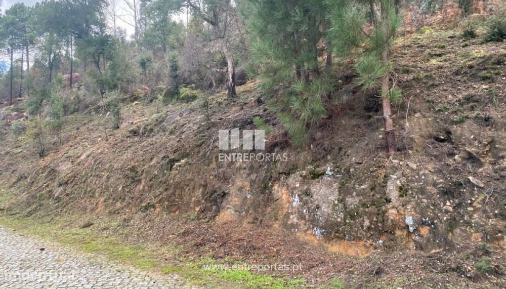 Venda Terreno, Penha Longa, Marco de Canaveses — Penhalonga E Paços De Gaiolo, Porto
