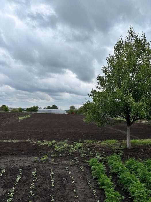 Продаж будинку.село Острійки.Білоцерківський район