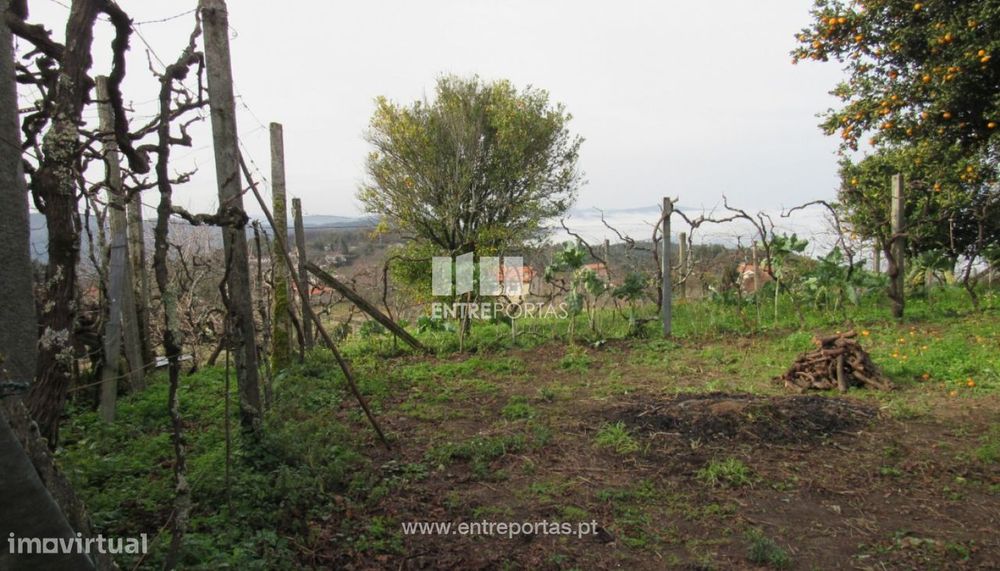 Venda Moradia V2, Fornelos, Cinfães