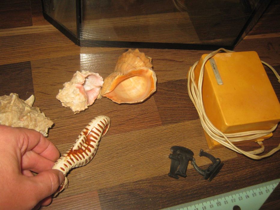 Аквариум,с ракушками и компрессором