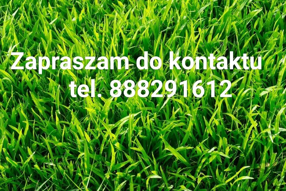 Pielęgnacja zieleni i usługi ogrodnicze
