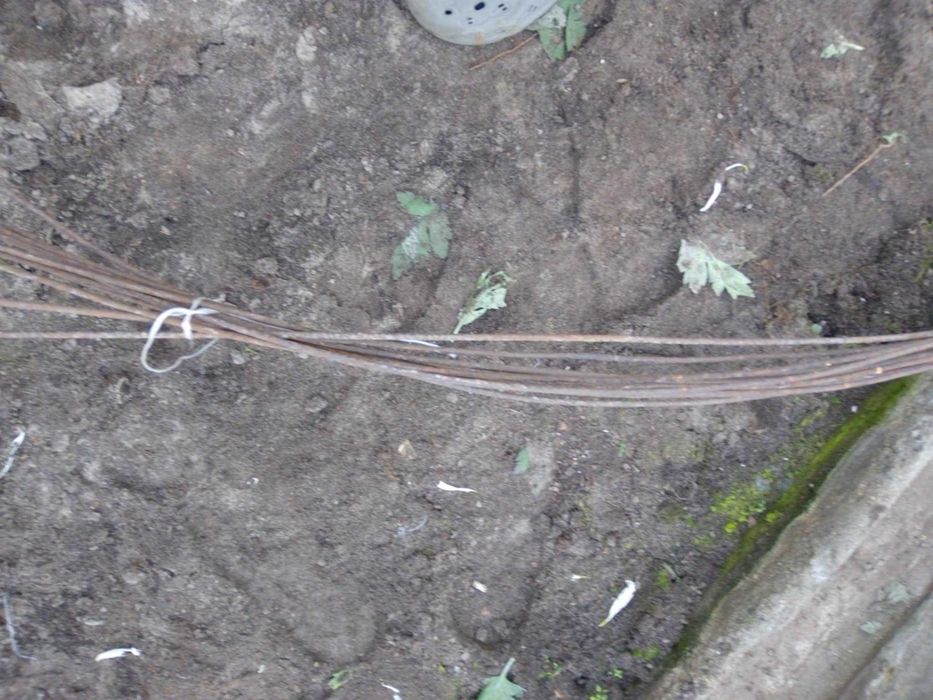 Drut pręt metalowy 50cm 500mm grubość 6mm pręty na wymiar - 10 szt