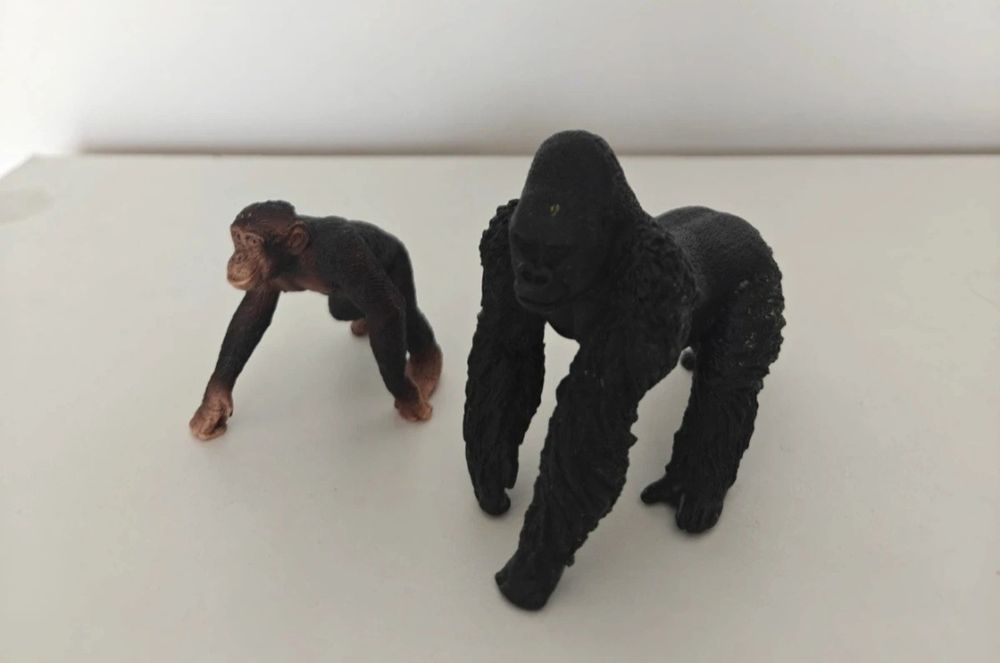 15 animais sortidos