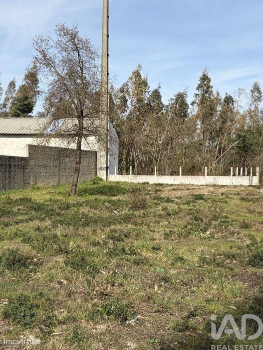 Terreno em Marinha Grande