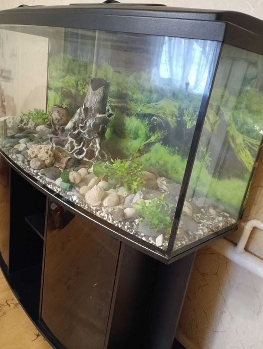 АКВАРІУМ з тумбою в комплекті .