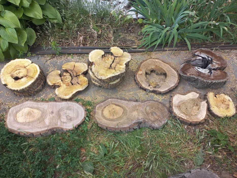 Спили/зрізи/слеби горіха торцеві. Спилы/срезы/слэбы деревьев ореха