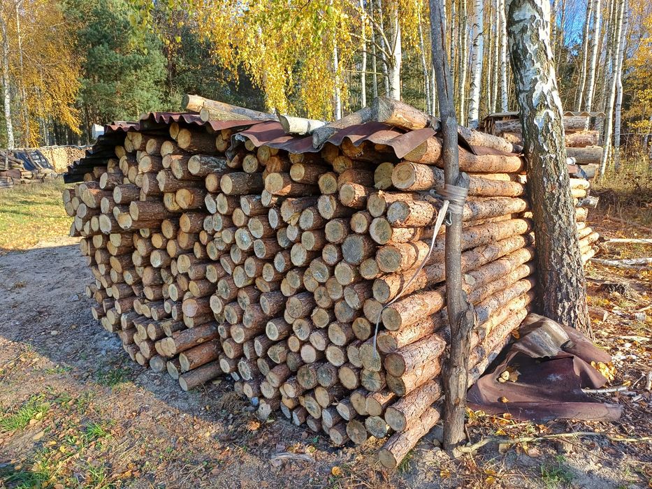 Stemple drewniane budowlane