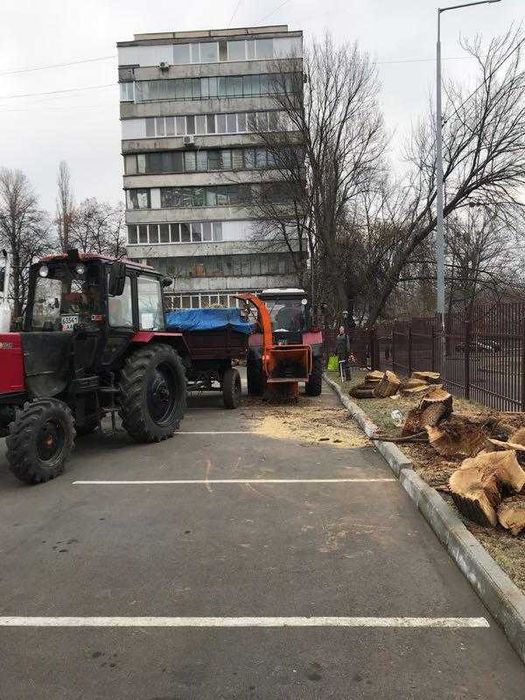 Валка деревьев, уборка территории, чистка и срез сосен