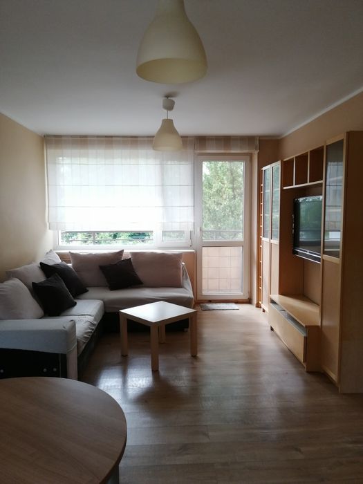 W parku 3 pok oddzielne / kuchnia z oknem/ balkon /moskitiery - Widok 2