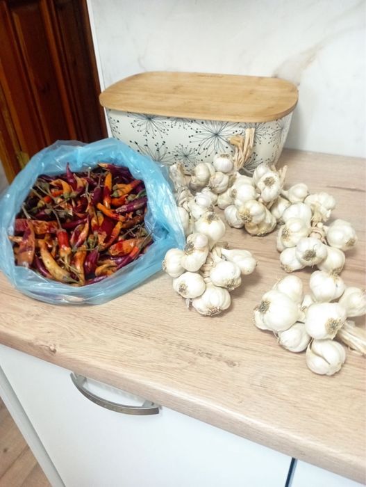 Продам чеснок, перец острый