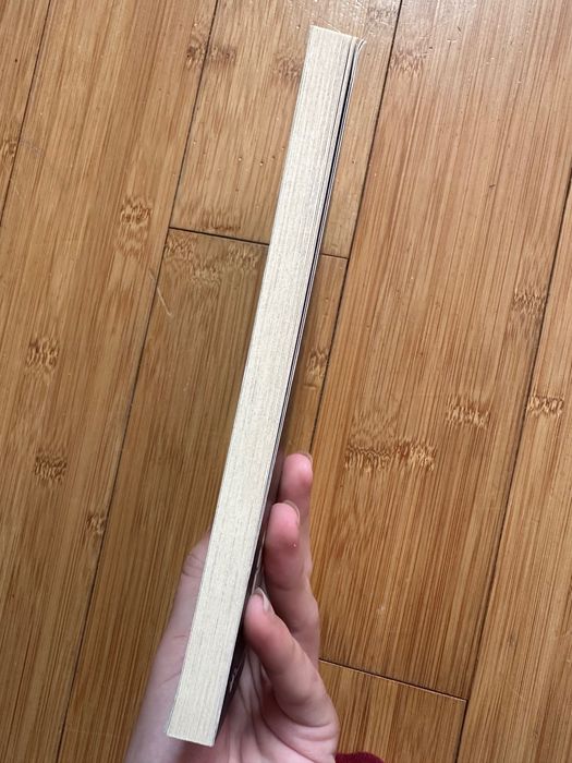 Inka, porzucone szczenię Holly Webb książka seria Zaopiekuj się mną