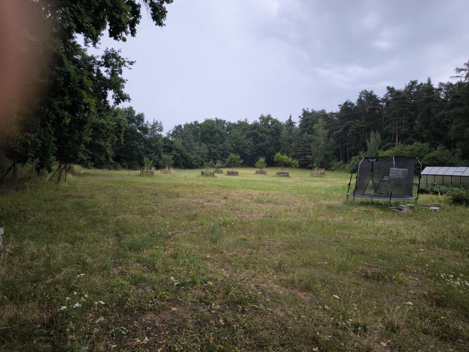 Piękna działka pod budowę domu przy lesie 42ary okolice Wąsosza Góry Sląskiej Rawicza okolice - Widok 2