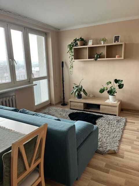 Mieszkanie blisko Politechniki, 2-pokojowe - View 2